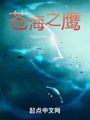 苍海之鹰