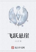 飞跃悬崖 飞跃悬崖